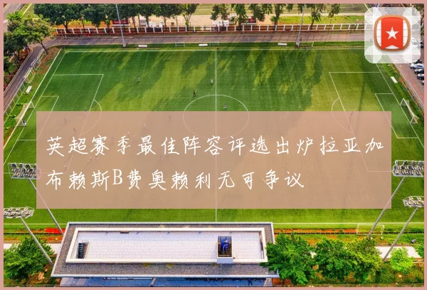 英超赛季最佳阵容评选出炉拉亚加布赖斯B费奥赖利无可争议