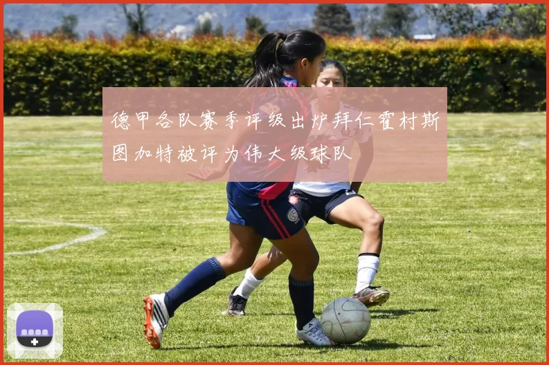 德甲各队赛季评级出炉拜仁霍村斯图加特被评为伟大级球队